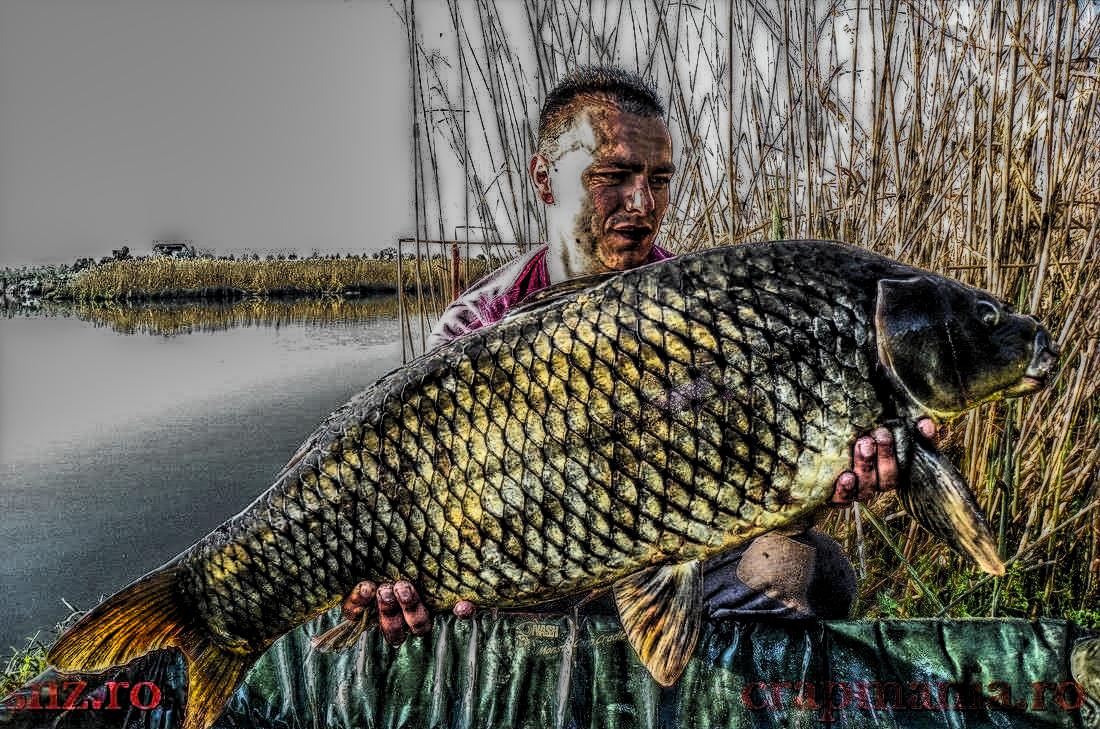 Trofeul Tancabesti (3) - 2013 - 1012223hdrmode2.jpg